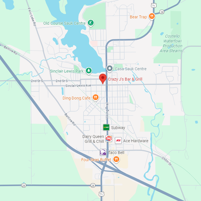 Crazy+J's Raspberry Popsicles surrounded by raspberries