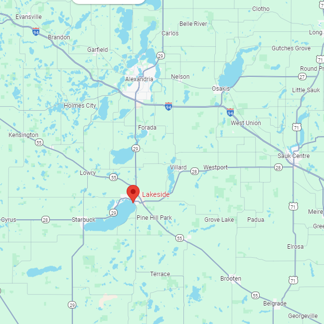 Lakeside 3 strawberry popsicles surrounded by strawberries